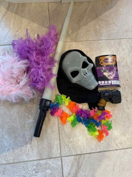 Photo of free Fancy dress accessories (Burpham, Guildford) #1