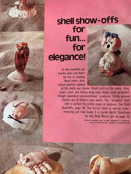 Photo of free Shells for craft projects (West Townsend) #3