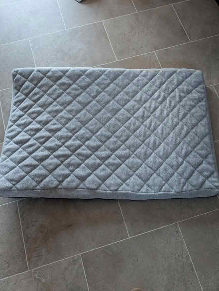 Photo of free Large dog bed (Gainsborough) #1