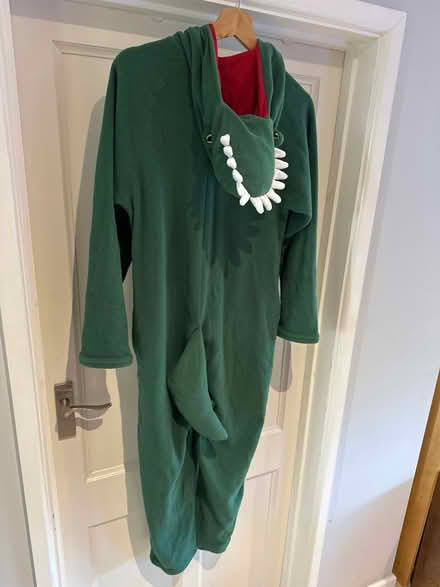 Photo of free Crocodile onsie (Burpham, Guildford) #3