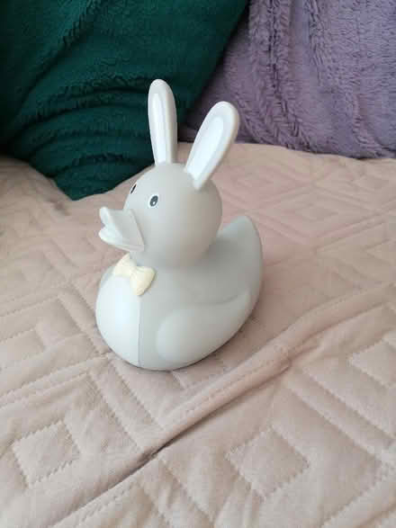 Photo of free Duck (Langney BN23) #2