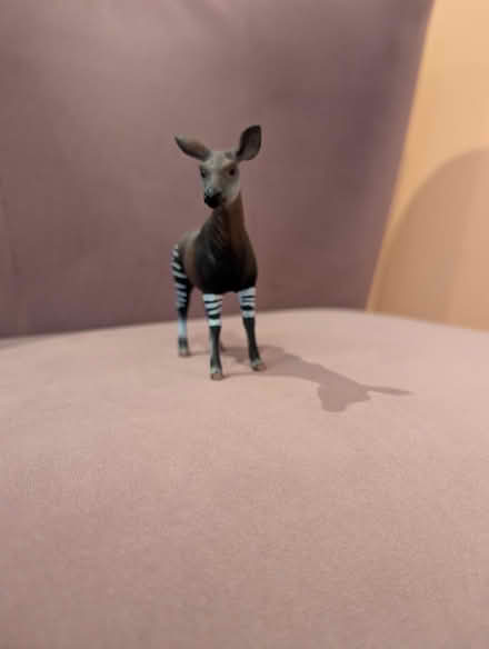 Photo of free Okapi toy (SE16) #2