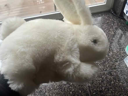 Photo of free bunny puppet (Woodinville) #1