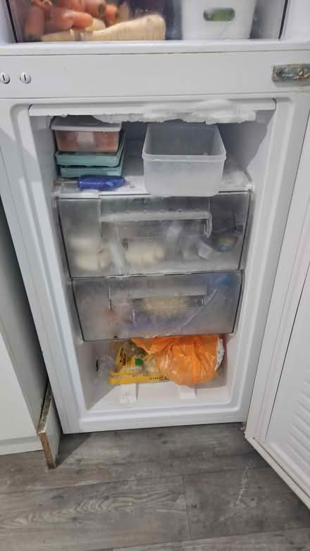 Photo of free Montpellier (N18 Edmonton) #2