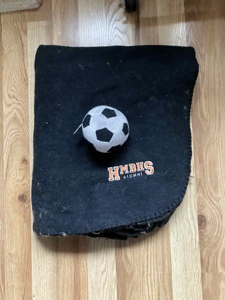 Photo of free Toy and fleece blanket for pet (Lakewood Village) #1