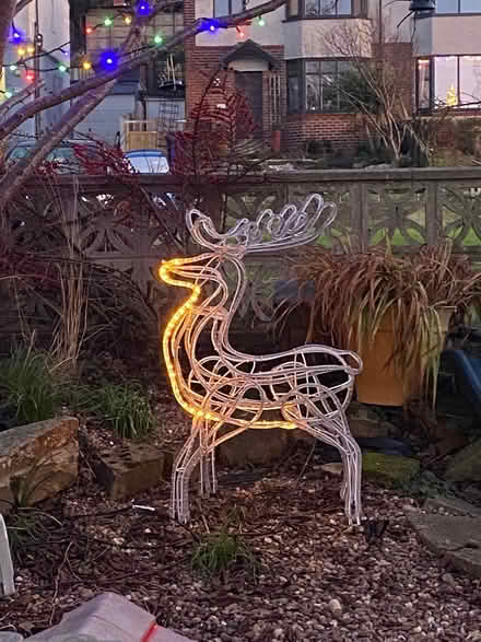 Photo of free Outdoor Reindeer (Woodseats S8) #1