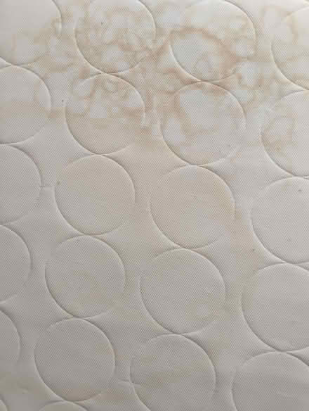 Photo of free Cot bed / animal bed (billericay CM12) #4