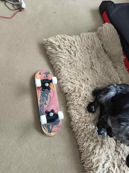 Photo of free Kid's skateboard (TN39 4JT) #2