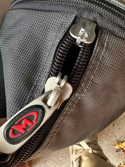 Photo of free Ski bag (belmont/watertown line) #2