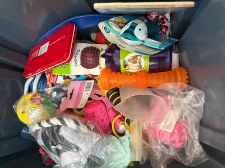 Photo of free Box full of new dog toys (NW10,) #1