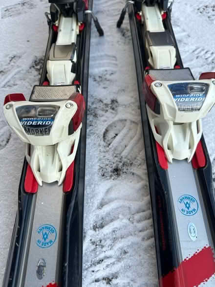 Photo of free Adult skis (belmont/watertown line) #3