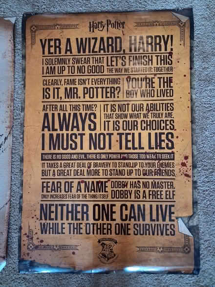 Photo of free Harry Potter posters x2 (Sandbach) #4