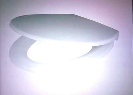 Photo of free toilet seat (taunton) #2