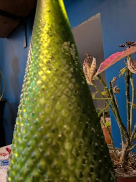 Photo of free Glass Christmas tree ornament (Heaton) #4