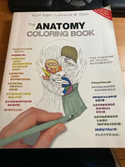 Photo of free Anatomy Colouring Book (CT5) #1