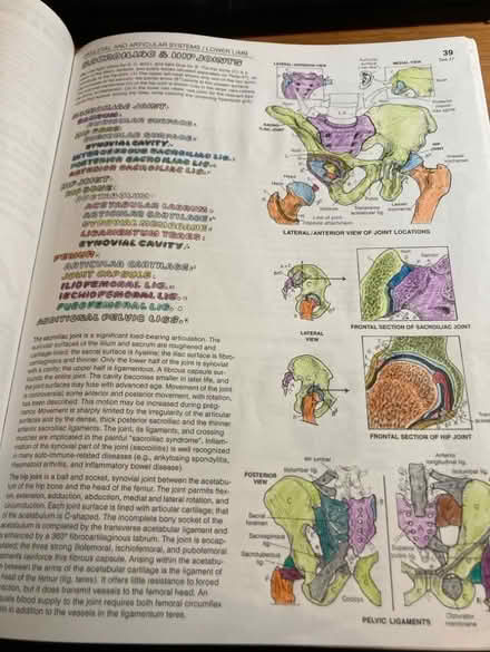 Photo of free Anatomy Colouring Book (CT5) #2