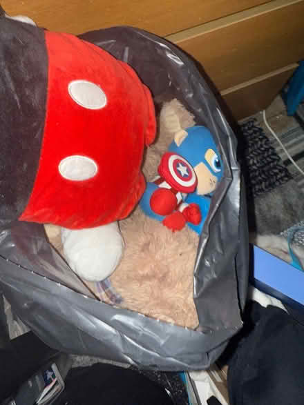 Photo of free Bag of teddy bears (Great Barr b43) #1
