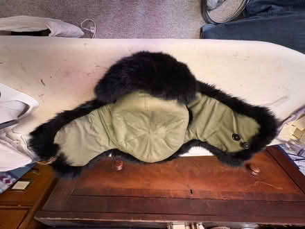 Photo of free Furry hat/cap (Fremont) #4