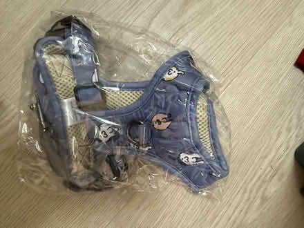 Photo of free Brand new harness for xs small dog (NW10,) #2