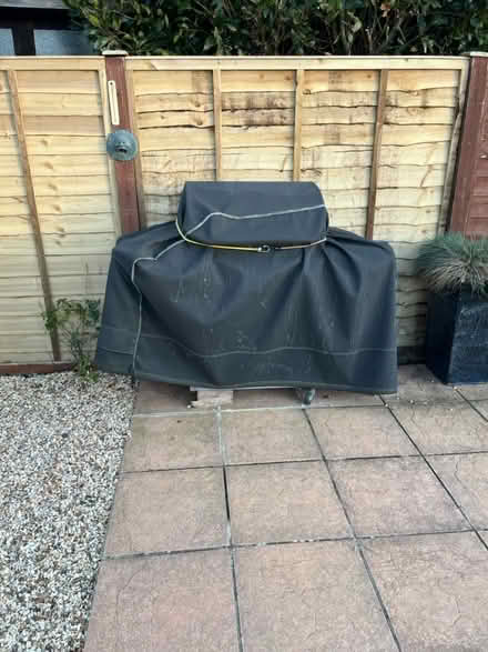 Photo of free Gas BBQ (BH25 Barton on Sea.) #3