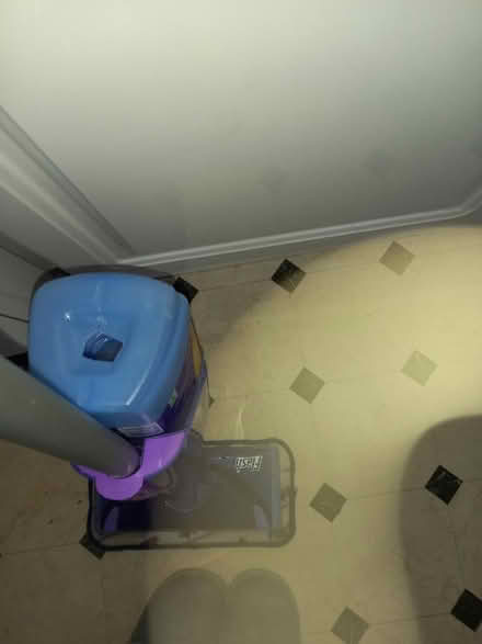 Photo of free Mop flash (Downhead Park MK15) #2