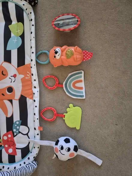 Photo of free Fisher Price baby activity mat (South Gloucestershire BS16) #1