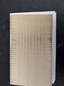 Photo of free Expedition Air Filter #1