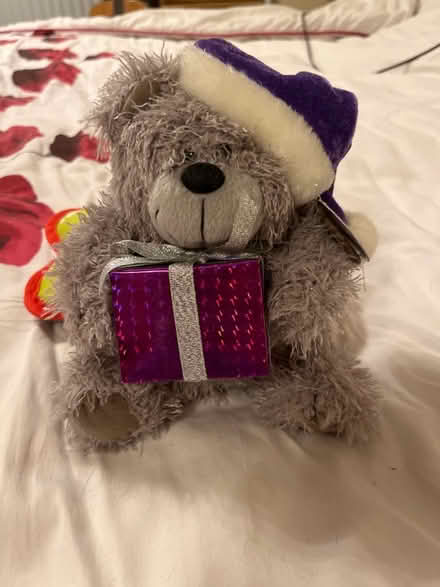 Photo of free Cuddly teddy with pretend parcel (Shephall SG2) #1