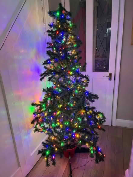 Photo of free Christmas tree 5ft (Bexley DA5) #1