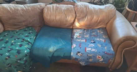 Photo of free leather sectional sofa (Zia and St. Francis) #3