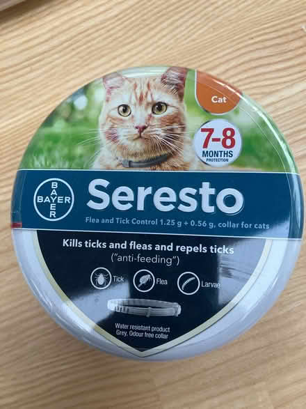 Photo of free Flea collar for cats (G14) #1