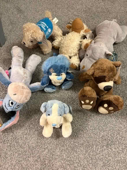 Photo of free Cuddly toys (Southfields SW18) #1