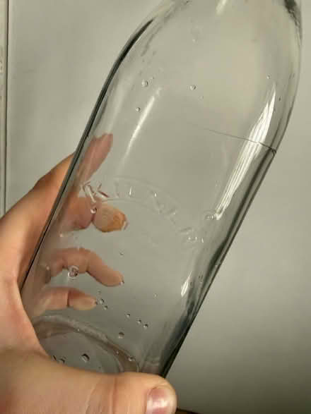 Photo of free Kilner Jars (Halstead CO9) #2