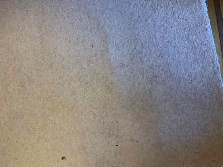 Photo of free Grey offcut piece of carpet (Jordanhill G13) #1