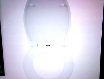 Photo of free toilet seat (taunton) #1