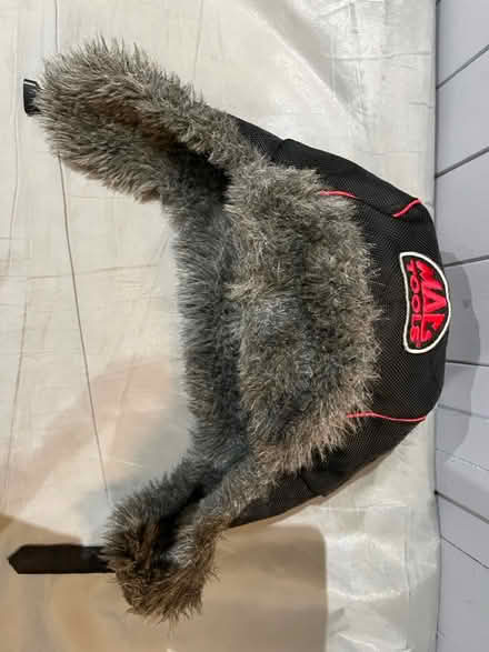 Photo of free Trappers Hat (Titchfield Common PO14) #4