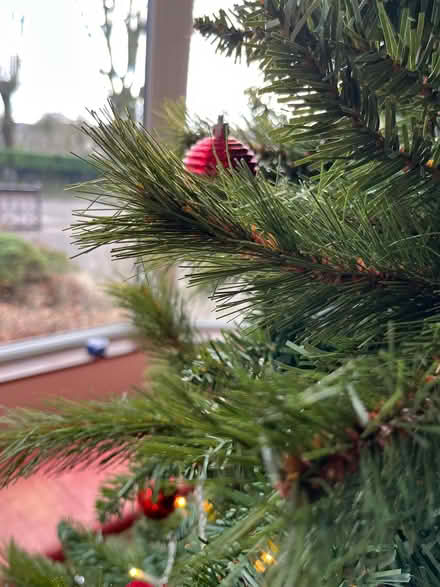 Photo of free Artificial Christmas Tree (Harpur Hill SK17) #1