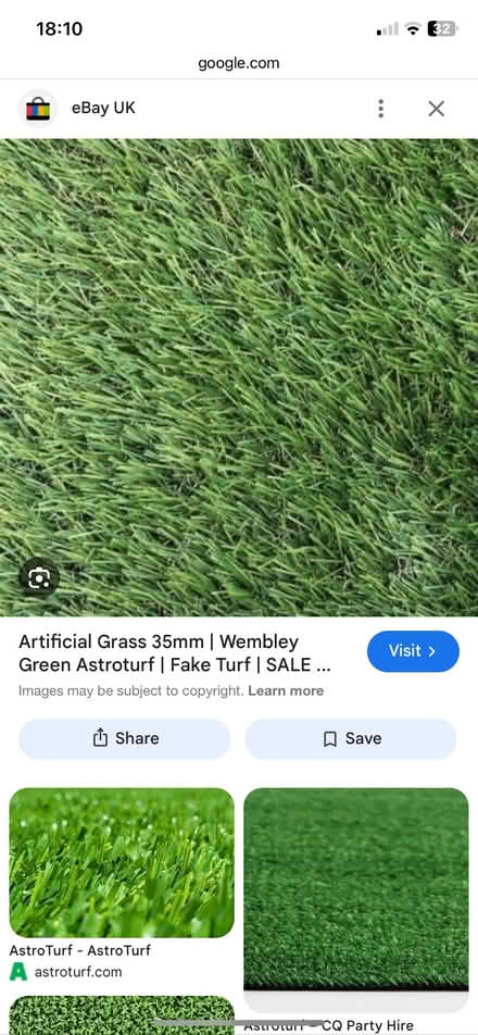 Photo of Astroturf (Lazonby CA10) #1