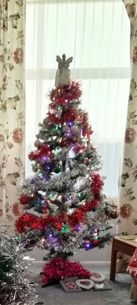 Photo of free Artificial Christmas tree 🎄 (Longeaton) #3