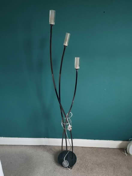 Photo of free Tall lamp (Sheffield s6) #1