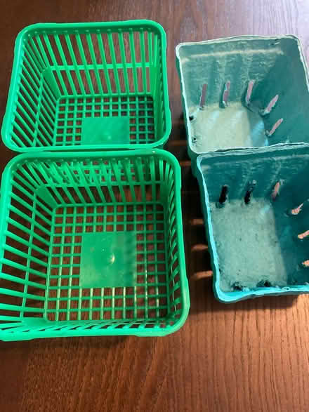 Photo of free 4 berry baskets (Winston Churchill/collegeway) #1