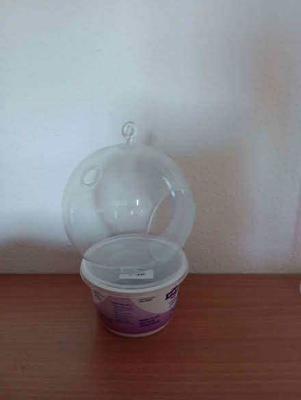 Photo of free Air plant holder (Lower Earley RG6) #2