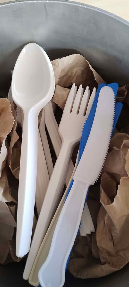 Photo of free Picnic cutlery (Greatfield HU9) #1