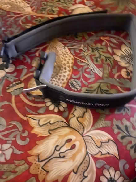 Photo of free Very large dog collar (Northway OX3) #1