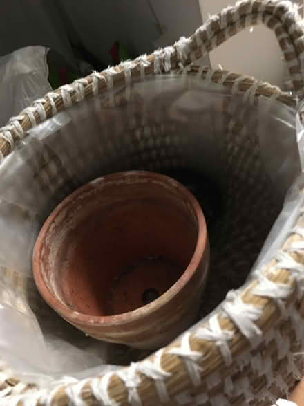 Photo of free Flower pot (Near Old Street Station) #2