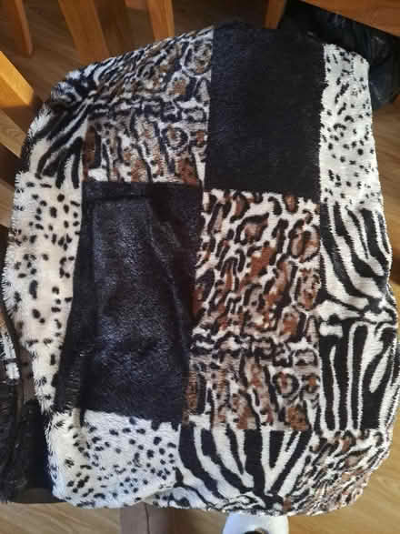 Photo of free Single Bed Set (Emsworth PO10) #1