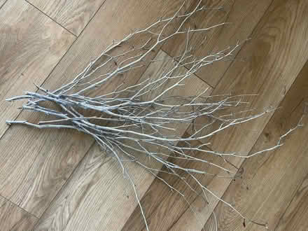 Photo of free Silver Twigs (Northchurch HP4) #1