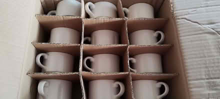 Photo of free Tea cups (Greatfield HU9) #1