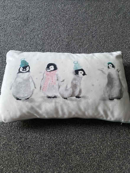 Photo of free Winter penguin cushion (Havant PO9) #1