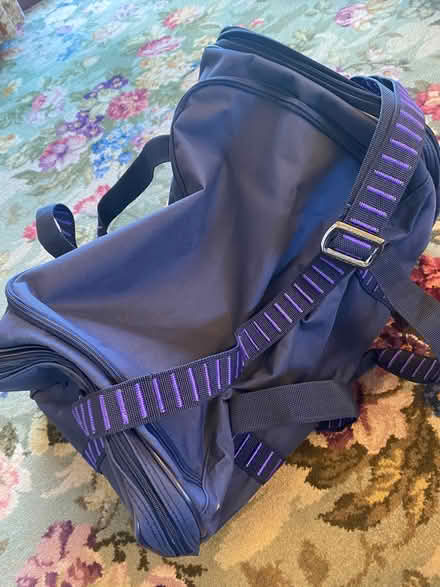 Photo of free Large sports bag (Tansley DE4) #3